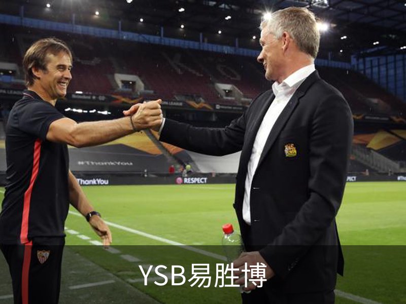 关于YSB易胜博